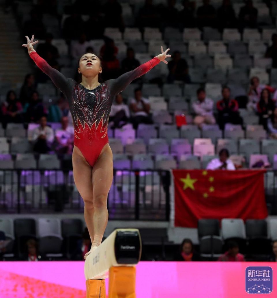 src, 年国际体操 src, 年国际体操