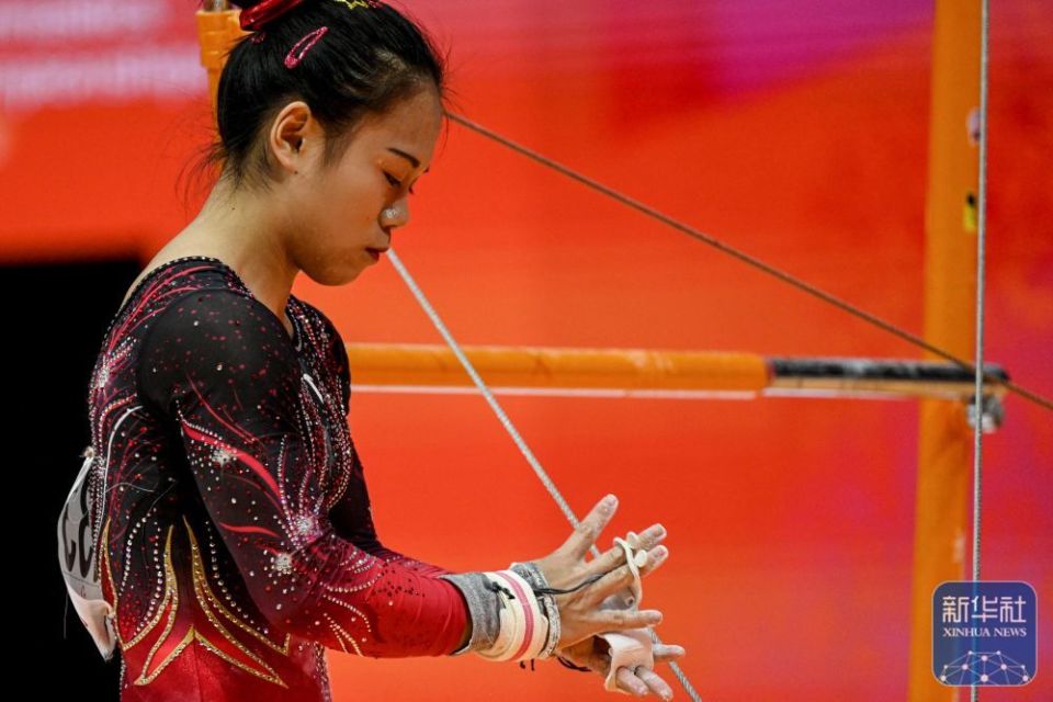 MQAA, 木项目比赛, 年国际体操 MQAA, 木项目比赛, 年国际体操